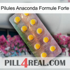 Anaconda Strong Formula Pills new11